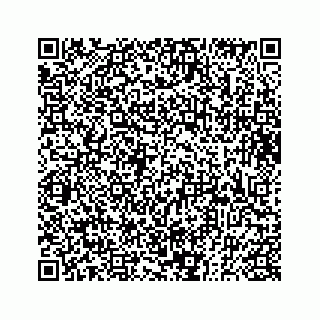vCard 73833300382