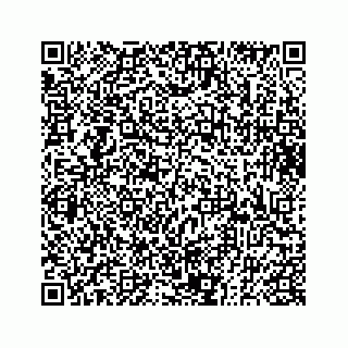 vCard 73833300383