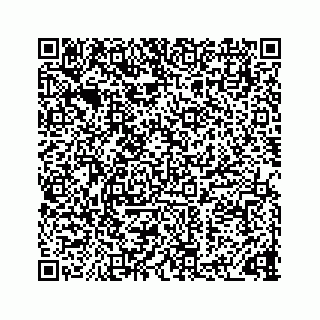 vCard 73833300387