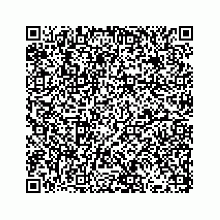 vCard 73833300388