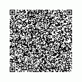 vCard 73833300389