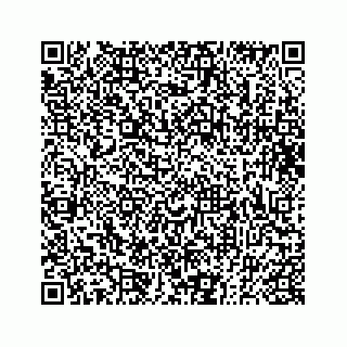 vCard 73833300390
