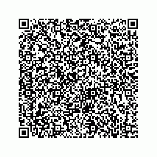 vCard 73833300393