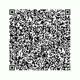 vCard 73833300394
