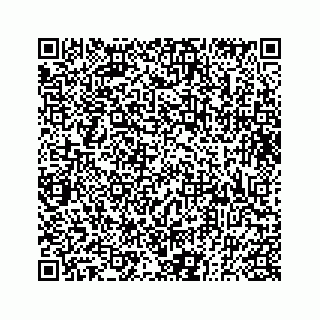 vCard 73833300395