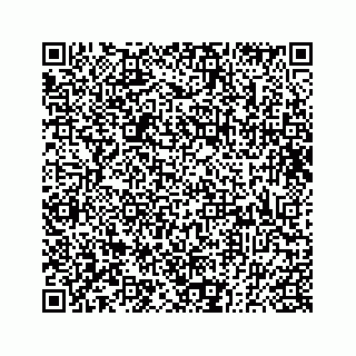 vCard 73833300398
