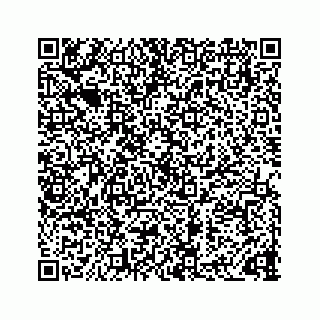 vCard 73833316003
