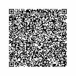 vCard 73833316022