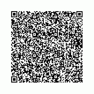 vCard 73833316032