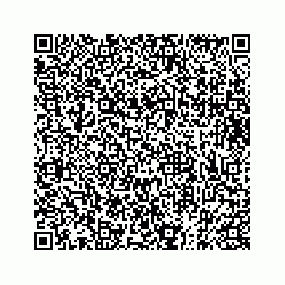 vCard 73833316037