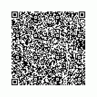 vCard 73833316063