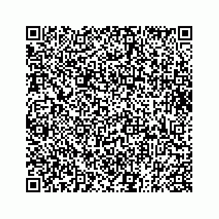 vCard 73833316081