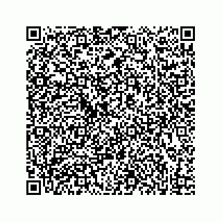 vCard 73833316111