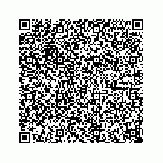 vCard 73833316129