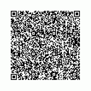vCard 73833316131