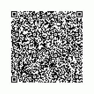 vCard 73833316133