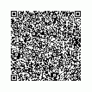 vCard 73833316159