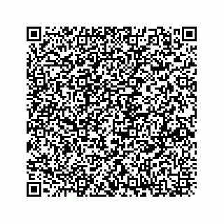 vCard 73833316160