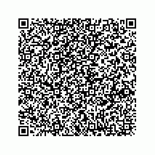 vCard 73833316202
