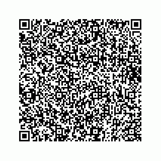 vCard 73833316211