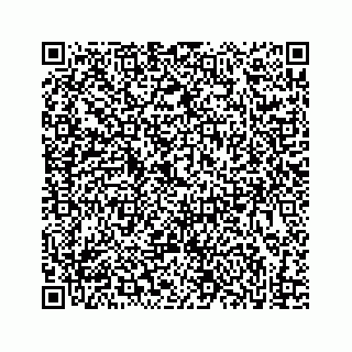 vCard 73833316221