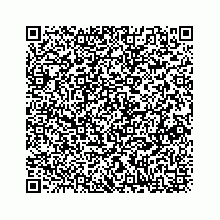 vCard 73833316228