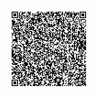 vCard 73833316231