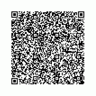 vCard 73833316239