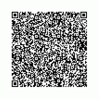 vCard 73833316251