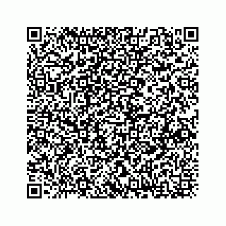 vCard 73833316266