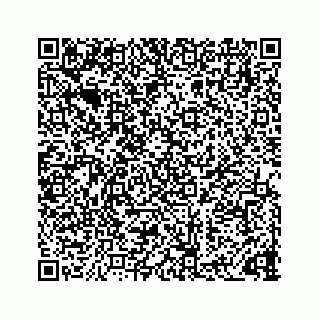 vCard 73833316272