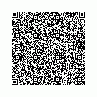 vCard 73833316281