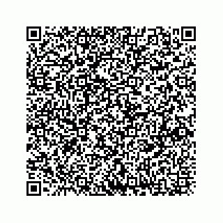 vCard 73833316284