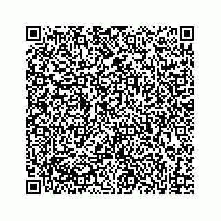 vCard 73833316288