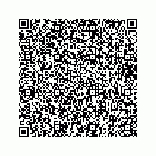 vCard 73833316290