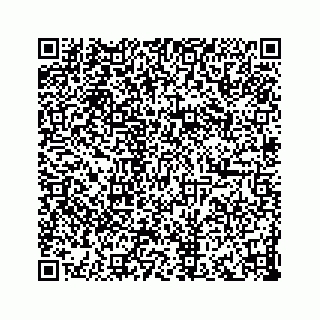 vCard 73833316291
