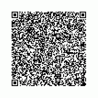 vCard 73833316299