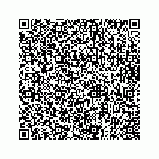 vCard 73833316303