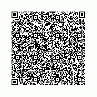 vCard 73833316311