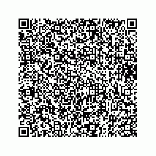 vCard 73833316352