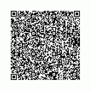 vCard 73833316353
