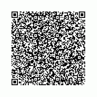 vCard 73833316363