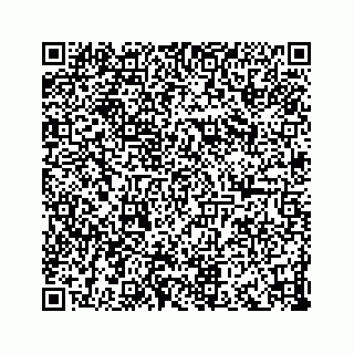 vCard 73833316378