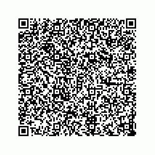 vCard 73833316379