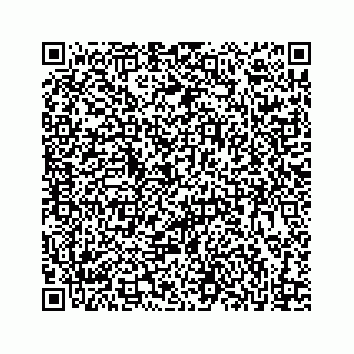 vCard 73833316381