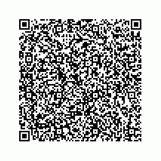 vCard 73833316382