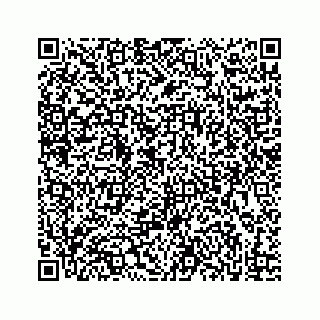 vCard 73833316384