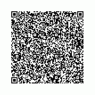 vCard 73833316385