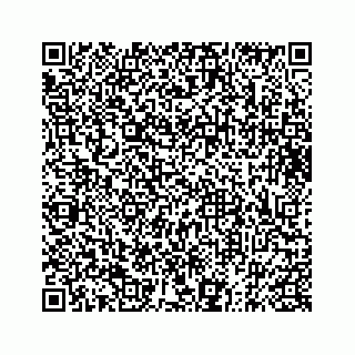 vCard 73833316387
