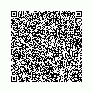 vCard 73833397129